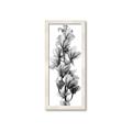 Picture of Orchid Flowers I  _GroupedProduct_Panel_Portrait_Photography _GroupedProduct_Panel_Portrait_Framed_Matted_