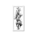 Picture of Orchid Flowers I  _GroupedProduct_Panel_Portrait_Photography _GroupedProduct_Panel_Portrait_Framed_Matted_