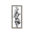 Picture of Orchid Flowers I  _GroupedProduct_Panel_Portrait_Photography _GroupedProduct_Panel_Portrait_Framed_Matted_