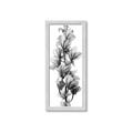 Picture of Orchid Flowers I  _GroupedProduct_Panel_Portrait_Photography _GroupedProduct_Panel_Portrait_Framed_Matted_