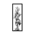 Picture of Orchid Flowers I  _GroupedProduct_Panel_Portrait_Photography _GroupedProduct_Panel_Portrait_Framed_Matted_