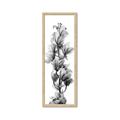 Picture of Orchid Flowers I  _GroupedProduct_Panel_Portrait_Photography _GroupedProduct_Panel_Portrait_Framed_Matted_