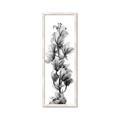 Picture of Orchid Flowers I  _GroupedProduct_Panel_Portrait_Photography _GroupedProduct_Panel_Portrait_Framed_Matted_