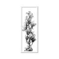 Picture of Orchid Flowers I  _GroupedProduct_Panel_Portrait_Photography _GroupedProduct_Panel_Portrait_Framed_Matted_