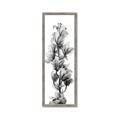 Picture of Orchid Flowers I  _GroupedProduct_Panel_Portrait_Photography _GroupedProduct_Panel_Portrait_Framed_Matted_