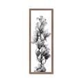 Picture of Orchid Flowers I  _GroupedProduct_Panel_Portrait_Photography _GroupedProduct_Panel_Portrait_Framed_Matted_