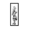 Picture of Orchid Flowers I  _GroupedProduct_Panel_Portrait_Photography _GroupedProduct_Panel_Portrait_Framed_Matted_