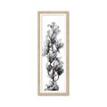 Picture of Orchid Flowers I  _GroupedProduct_Panel_Portrait_Photography _GroupedProduct_Panel_Portrait_Framed_Matted_
