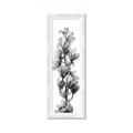 Picture of Orchid Flowers I  _GroupedProduct_Panel_Portrait_Photography _GroupedProduct_Panel_Portrait_Framed_Matted_