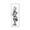 Picture of Orchid Flowers I  _GroupedProduct_Panel_Portrait_Photography _GroupedProduct_Panel_Portrait_Framed_Matted_