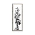 Picture of Orchid Flowers I  _GroupedProduct_Panel_Portrait_Photography _GroupedProduct_Panel_Portrait_Framed_Matted_