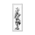 Picture of Orchid Flowers I  _GroupedProduct_Panel_Portrait_Photography _GroupedProduct_Panel_Portrait_Framed_Matted_