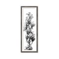 Picture of Orchid Flowers I  _GroupedProduct_Panel_Portrait_Photography _GroupedProduct_Panel_Portrait_Framed_Matted_
