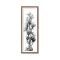 Picture of Orchid Flowers I  _GroupedProduct_Panel_Portrait_Photography _GroupedProduct_Panel_Portrait_Framed_Matted_