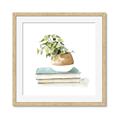 Picture of Pot On The Books I _GroupedProduct_Square_Framed_Matted_