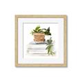 Picture of Flower Pot On Books _GroupedProduct_Square_Framed_Matted_