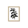 Picture of Black Leaves II _GroupedProduct_Rectangle_Portrait_Framed_Matted_