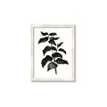 Picture of Black Leaves II _GroupedProduct_Rectangle_Portrait_Framed_Matted_