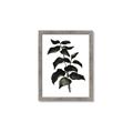 Picture of Black Leaves II _GroupedProduct_Rectangle_Portrait_Framed_Matted_
