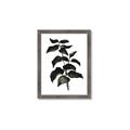 Picture of Black Leaves II _GroupedProduct_Rectangle_Portrait_Framed_Matted_