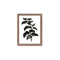 Picture of Black Leaves II _GroupedProduct_Rectangle_Portrait_Framed_Matted_