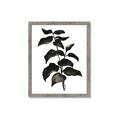 Picture of Black Leaves II _GroupedProduct_Rectangle_Portrait_Framed_Matted_