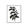 Picture of Black Leaves II _GroupedProduct_Rectangle_Portrait_Framed_Matted_