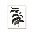 Picture of Black Leaves II _GroupedProduct_Rectangle_Portrait_Framed_Matted_