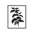 Picture of Black Leaves II _GroupedProduct_Rectangle_Portrait_Framed_Matted_