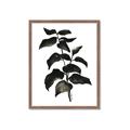 Picture of Black Leaves II _GroupedProduct_Rectangle_Portrait_Framed_Matted_