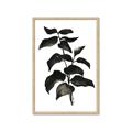 Picture of Black Leaves II _GroupedProduct_Rectangle_Portrait_Framed_Matted_