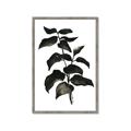 Picture of Black Leaves II _GroupedProduct_Rectangle_Portrait_Framed_Matted_