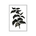Picture of Black Leaves II _GroupedProduct_Rectangle_Portrait_Framed_Matted_