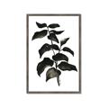 Picture of Black Leaves II _GroupedProduct_Rectangle_Portrait_Framed_Matted_