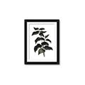 Picture of Black Leaves II _GroupedProduct_Rectangle_Portrait_Framed_Matted_