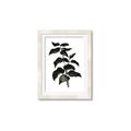 Picture of Black Leaves II _GroupedProduct_Rectangle_Portrait_Framed_Matted_