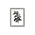 Picture of Black Leaves II _GroupedProduct_Rectangle_Portrait_Framed_Matted_