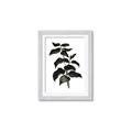Picture of Black Leaves II _GroupedProduct_Rectangle_Portrait_Framed_Matted_