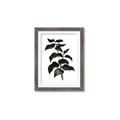 Picture of Black Leaves II _GroupedProduct_Rectangle_Portrait_Framed_Matted_