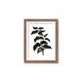 Picture of Black Leaves II _GroupedProduct_Rectangle_Portrait_Framed_Matted_