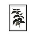 Picture of Black Leaves II _GroupedProduct_Rectangle_Portrait_Framed_Matted_