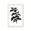 Picture of Black Leaves II _GroupedProduct_Rectangle_Portrait_Framed_Matted_
