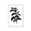 Picture of Black Leaves II _GroupedProduct_Rectangle_Portrait_Framed_Matted_