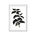 Picture of Black Leaves II _GroupedProduct_Rectangle_Portrait_Framed_Matted_