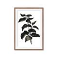 Picture of Black Leaves II _GroupedProduct_Rectangle_Portrait_Framed_Matted_