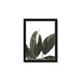 Picture of Focus of White Flower Peace Lily _GroupedProduct_Rectangle_Portrait_Framed_Matted_