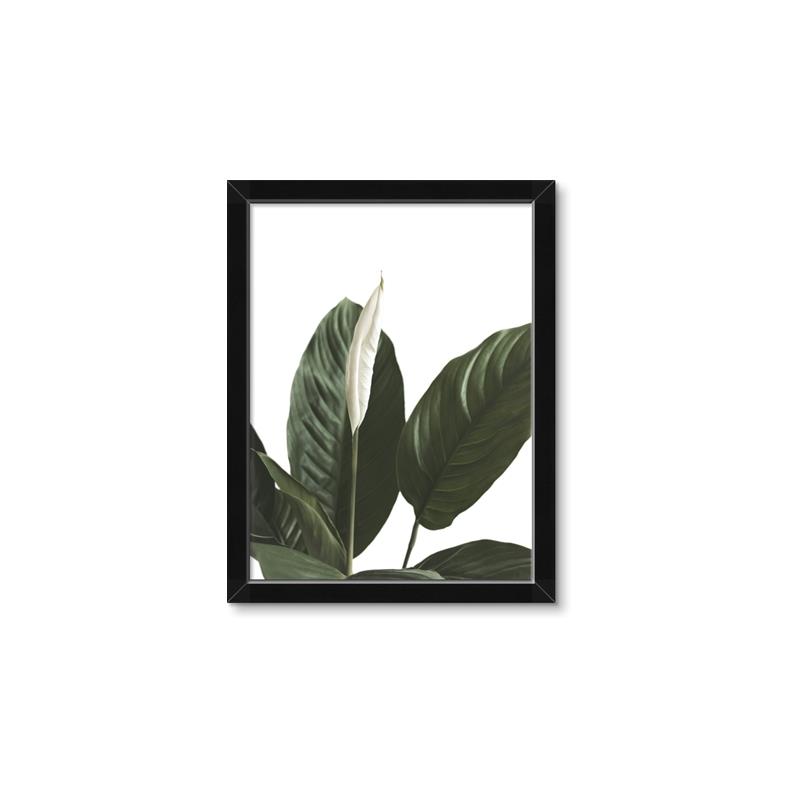 Picture of Focus of White Flower Peace Lily _GroupedProduct_Rectangle_Portrait_Framed_Matted_