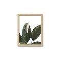 Picture of Focus of White Flower Peace Lily _GroupedProduct_Rectangle_Portrait_Framed_Matted_