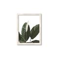 Picture of Focus of White Flower Peace Lily _GroupedProduct_Rectangle_Portrait_Framed_Matted_