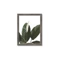 Picture of Focus of White Flower Peace Lily _GroupedProduct_Rectangle_Portrait_Framed_Matted_